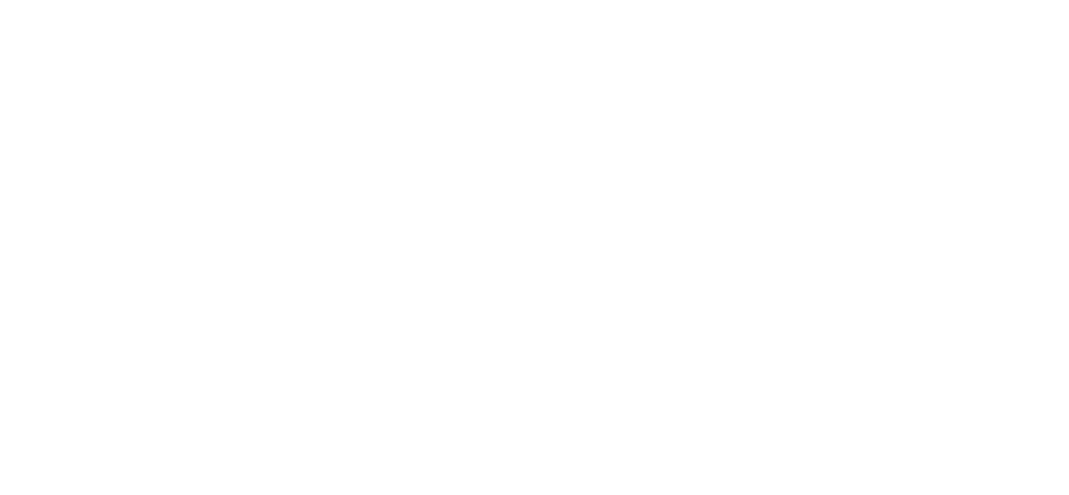 Partner 10